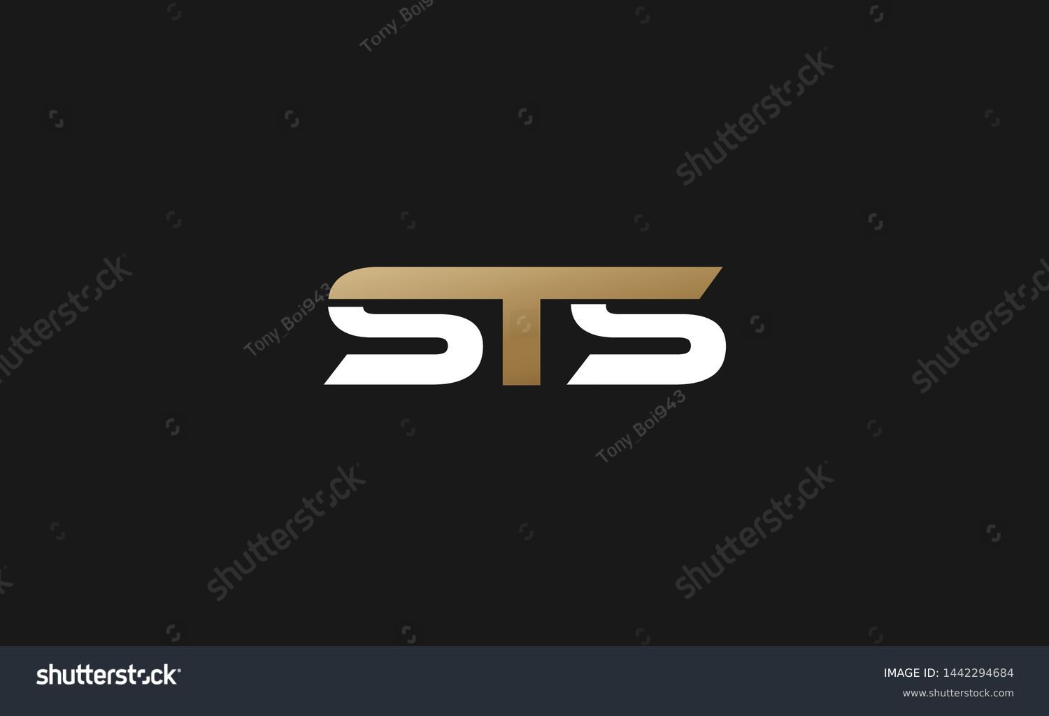 theshoehunter